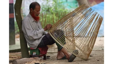 পলোডাঙ্গা গ্রামের পলো বানানো