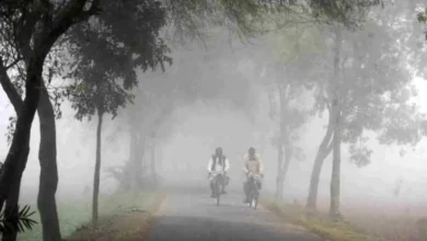 দেশজুড়ে মেঘলা আকাশ ও কুয়াশা