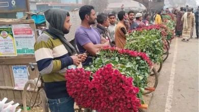 যশোরের গদখালীতে ফুলের বাজারে মন্দাভাব: চাষিদের উদ্বেগ