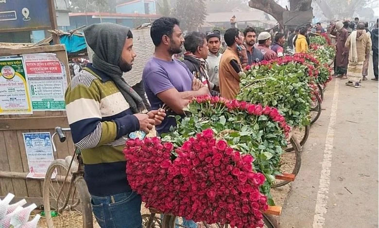 যশোরের গদখালীতে ফুলের বাজারে মন্দাভাব: চাষিদের উদ্বেগ