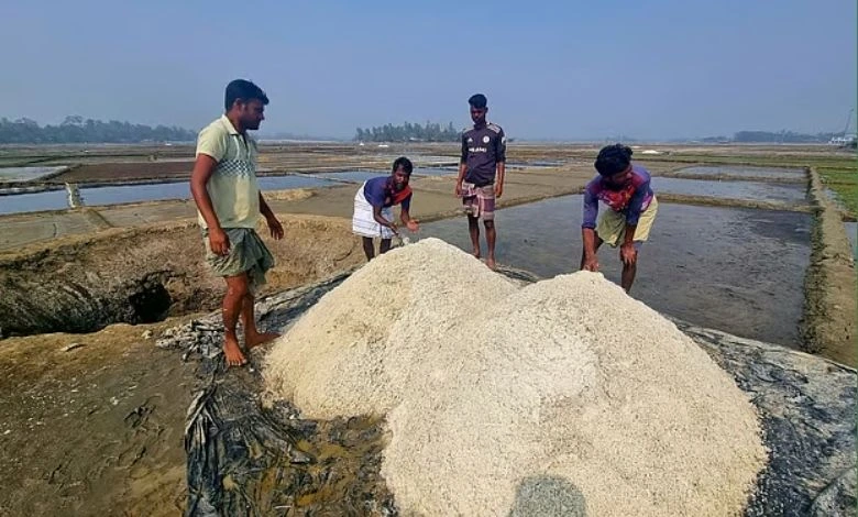 লবণের দাম নেমেছে কেজি পাঁচ টাকায়, গর্তে সংরক্ষণ