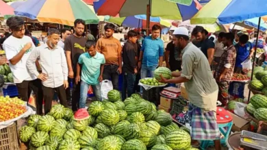 রোজার আগে বাজারে এলো তরমুজ – দাম ও গুণাগুণ জানুন