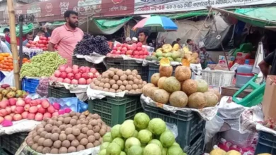 বিদেশি ফলের দাম বেশি, ইফতারে বেড়েছে দেশি ফলের চাহিদা