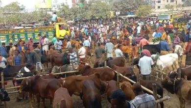 জয়পুরহাটে হাট ইজারায় সিন্ডিকেট, দেড় কোটি টাকা ভাগাভাগির অভিযোগ