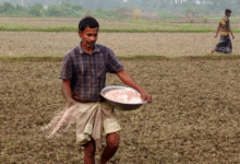 তিউনিশিয়া থেকে ১৫৬ কোটি টাকার টিএসপি সার কিনবে সরকার