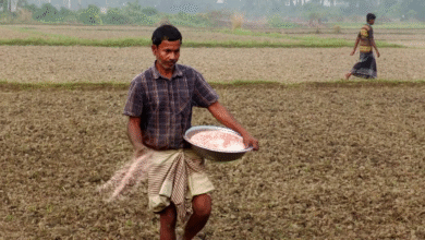 তিউনিশিয়া থেকে ১৫৬ কোটি টাকার টিএসপি সার কিনবে সরকার