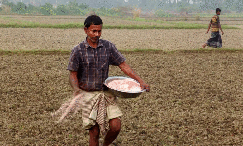 তিউনিশিয়া থেকে ১৫৬ কোটি টাকার টিএসপি সার কিনবে সরকার