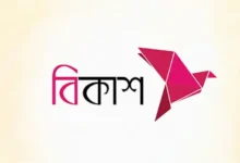 বিকাশের ৩১৬ কোটি টাকার রেকর্ড মুনাফা, ১০ বছরে বেড়ে ১৭ গুণ
