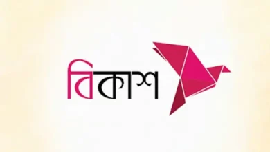 বিকাশের ৩১৬ কোটি টাকার রেকর্ড মুনাফা, ১০ বছরে বেড়ে ১৭ গুণ