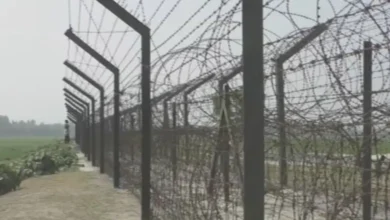 ভারতের পুশ-ইন বেড়ে সীমান্তে আতঙ্ক, আটক ৩৭০ জন