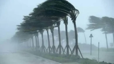 সন্ধ্যার মধ্যে ৬ অঞ্চলে ঝড়ের আশঙ্কা, নদীবন্দরগুলোতে ১ নম্বর সতর্কতা