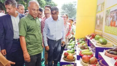 যুক্তরাষ্ট্র, সৌদি আরবসহ পাঁচ দেশে ১৩ টন আম রপ্তানি
