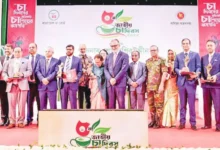 বাংলাদেশের চা রপ্তানি বাড়াতে বড় পরিকল্পনায় সরকার