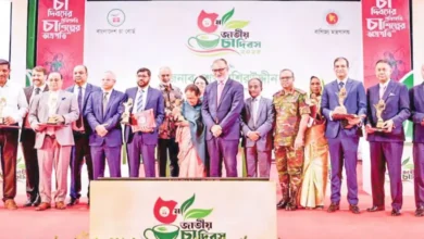 বাংলাদেশের চা রপ্তানি বাড়াতে বড় পরিকল্পনায় সরকার