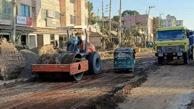 আখাউড়া দিয়ে ফের শুরু মাছ রপ্তানি, ভারতীয় নিষেধাজ্ঞায় বিপাকে অন্যান্য পণ্য
