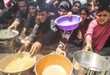 গাজায় চরম খাদ্য সংকটে বাড়ছে লুটপাট ও অপরাধ, ভেঙে পড়েছে নিরাপত্তা ব্যবস্থা