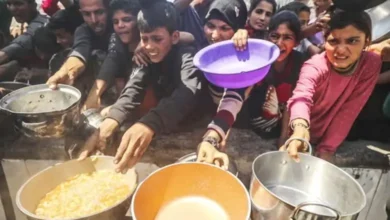গাজায় চরম খাদ্য সংকটে বাড়ছে লুটপাট ও অপরাধ, ভেঙে পড়েছে নিরাপত্তা ব্যবস্থা