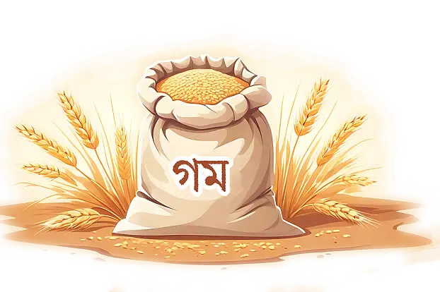 রাশিয়া আবার সস্তা গম আমদানির বড় উৎস