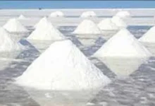 প্রক্রিয়াকরণের সময় নষ্ট হয় ১৭ শতাংশ লবণ