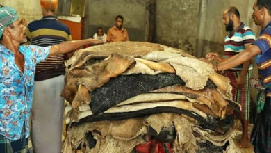 আমের পর বাংলাদেশ থেকে চামড়া আমদানির আগ্রহ চীনের