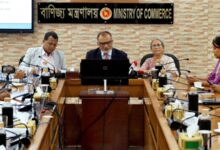 চামড়া সংরক্ষণে ৩০ হাজার টন লবণ বিনামূল্যে দেবে সরকার: বাণিজ্য উপদেষ্টা