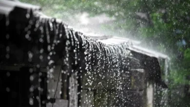 ৭ বিভাগে ভারী বৃষ্টিপাতের আভাস: ঢাকা-চট্টগ্রামে জলাবদ্ধতার শঙ্কা