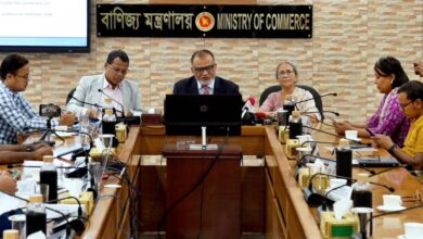 চামড়া সংরক্ষণে ৩০ হাজার টন লবণ বিনামূল্যে দেবে সরকার: বাণিজ্য উপদেষ্টা