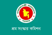 বাসাবাড়িতে ১৪ বছরের কম বয়সী শিশু নিয়োগ বন্ধে আইন করার সুপারিশ
