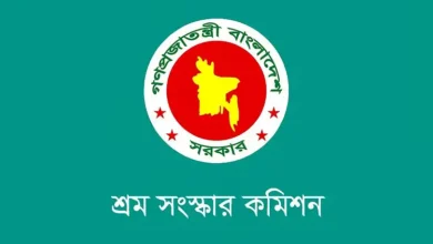 বাসাবাড়িতে ১৪ বছরের কম বয়সী শিশু নিয়োগ বন্ধে আইন করার সুপারিশ