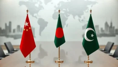 সার্কের বিকল্প জোট গঠনে চীন-পাকিস্তানের উদ্যোগ, যুক্ত রয়েছে বাংলাদেশও
