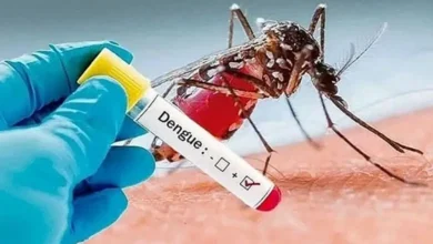 ডেঙ্গুতে একদিনে আরও ১ জনের মৃত্যু, হাসপাতালে ভর্তি ৩৮৩ জন