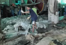 ‘চামড়ার ব্যবসাটা এখন চীনের হাতে, আর আমরা হয়ে গেছি তাদের কর্মচারী’