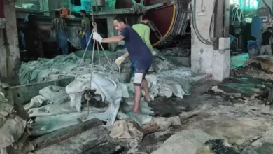‘চামড়ার ব্যবসাটা এখন চীনের হাতে, আর আমরা হয়ে গেছি তাদের কর্মচারী’