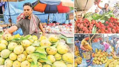 নতুন মাত্রায় সঞ্চারিত দেশের মৌসুমি ফলের স্বস্তির বাতাস দাম কমেছে