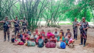 চাঁপাইনবাবগঞ্জ সীমান্তে বিএসএফের পুশ-ইন, ২০ জন বাংলাদেশে ফেরত