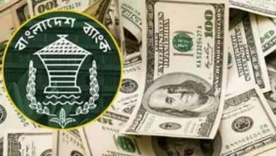 আবারও বেড়েছে রিজার্ভ: ২৬.১৫ বিলিয়ন ডলারে দাঁড়িয়েছে বৈদেশিক মুদ্রার মজুত