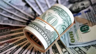 Dollers