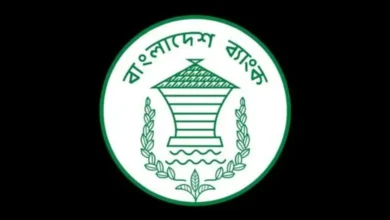 ব্যাংক খাতে লুটপাটে লাগাম, সংস্কারে জোর দিয়েছে নতুন সরকার