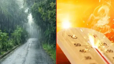 দু’তিন দিনে কমবে না তাপমাত্রা, রোববার থেকে বৃষ্টিপাতের সম্ভাবনা