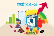 বাজেট ২০২৫-২৬: দাম বাড়তে পারে যেসব পণ্য, ক্ষতিগ্রস্ত হবে কোন শ্রেণি