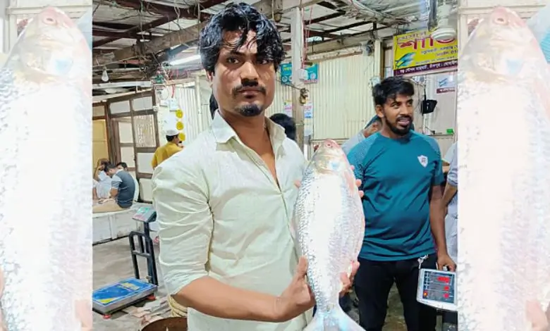 পদ্মার আড়াই কেজির ইলিশ ১৩ হাজার টাকায় বিক্রি