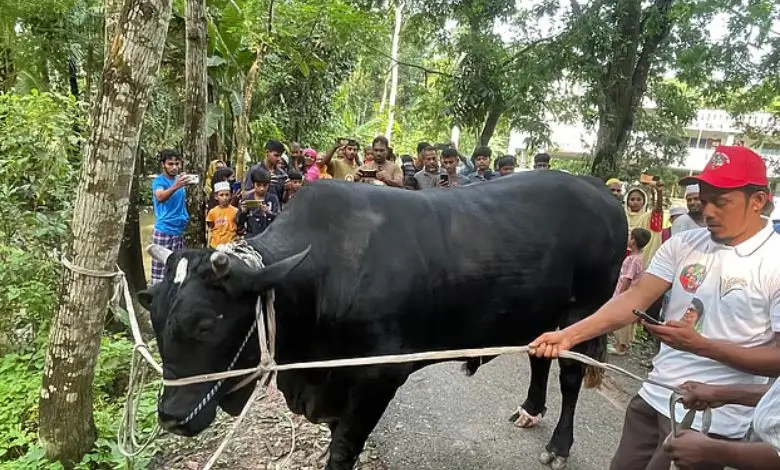 খালেদা জিয়াকে উপহার দিতে ‘কালো মানিক’ নিয়ে ঢাকার