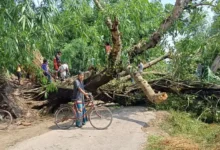 পঞ্চগড়ে হঠাৎ ঝড়ে শতাধিক ঘরবাড়ি লণ্ডভণ্ড, বিদ্যুৎবিহীন ১১ ঘণ্টা
