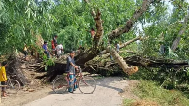 পঞ্চগড়ে হঠাৎ ঝড়ে শতাধিক ঘরবাড়ি লণ্ডভণ্ড, বিদ্যুৎবিহীন ১১ ঘণ্টা
