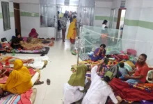 বরগুনায় ভয়াবহ রূপ নিয়েছে ডেঙ্গু পরিস্থিতি