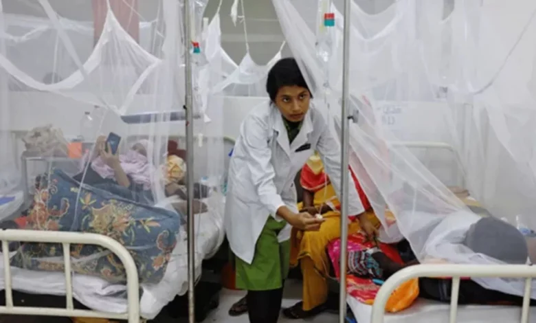 ডেঙ্গুতে আরও ২ জনের মৃত্যু, নতুন করে হাসপাতালে ভর্তি ১৯৫