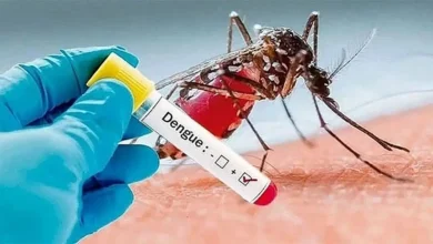 ডেঙ্গুতে ২ বছরের শিশুর মৃত্যু, ২৪ ঘণ্টায় হাসপাতালে ভর্তি ২৬২ জন