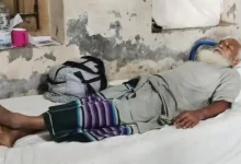 পলিথিনে মুড়িয়ে হাসপাতালে রাসেলস ভাইপারসহ কৃষক