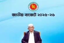বিদ্যুতের দাম আপাতত না বাড়ানোর সিদ্ধান্ত: অর্থ উপদেষ্টা