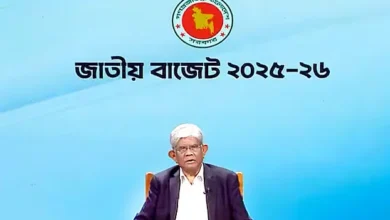 বিদ্যুতের দাম আপাতত না বাড়ানোর সিদ্ধান্ত: অর্থ উপদেষ্টা